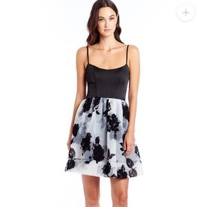 Amanda Uprichard Ameliana Rose Mini Dress Size S